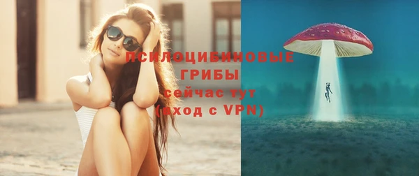 прущая мука Ладушкин