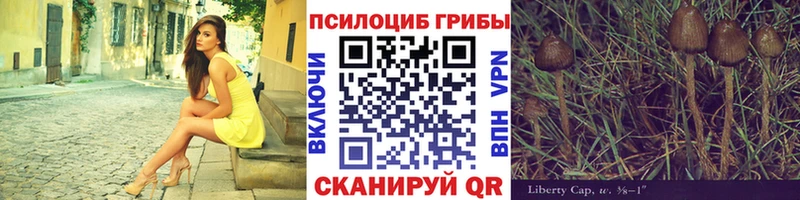 Галлюциногенные грибы Cubensis  где купить наркоту  Лосино-Петровский 