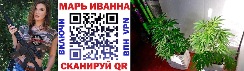 Бошки марихуана ГИДРОПОН Лосино-Петровский